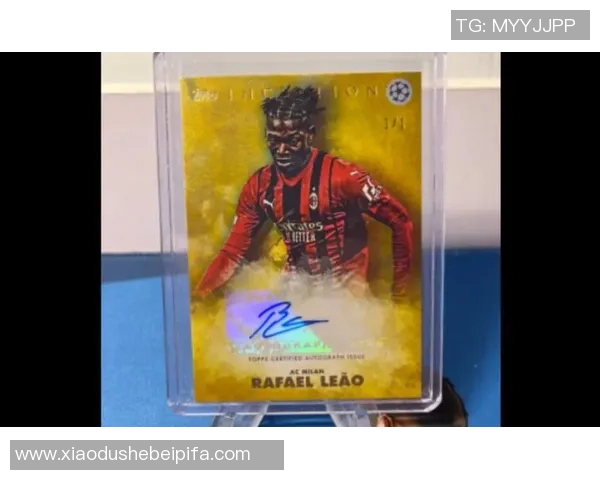 足球评级球星卡收藏价值与投资潜力深度解析