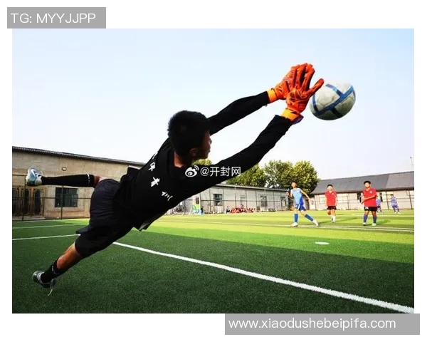 阿里在绿茵场上的足球传奇与拼搏精神故事